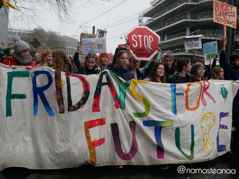 Jugendliches Engagement: Fridays for Future!